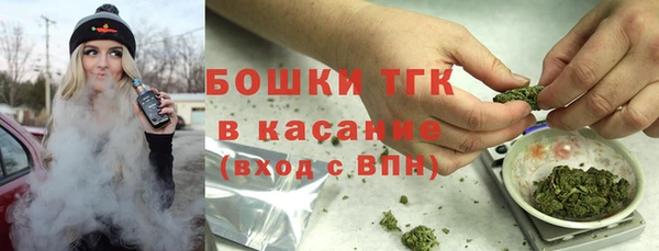 твердый Алзамай
