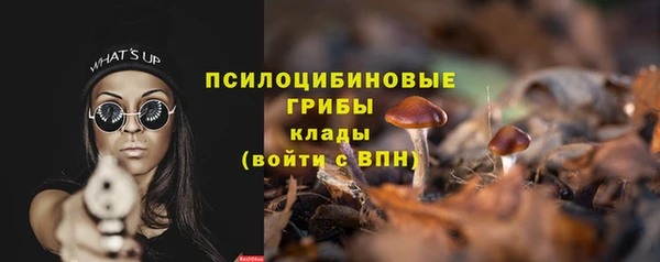 твердый Алзамай