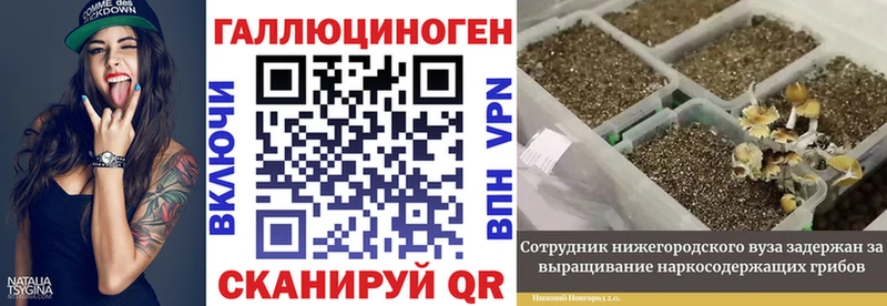 что такое   Вилюйск  Псилоцибиновые грибы мицелий 